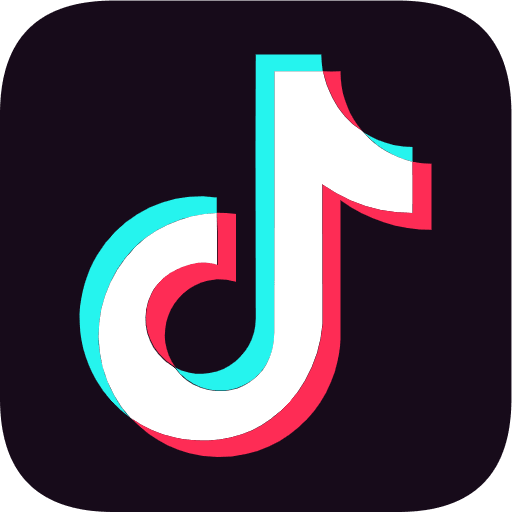 tiktok / 海外抖音